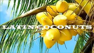 1112 outdoor porn videos