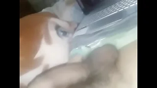 rica paja